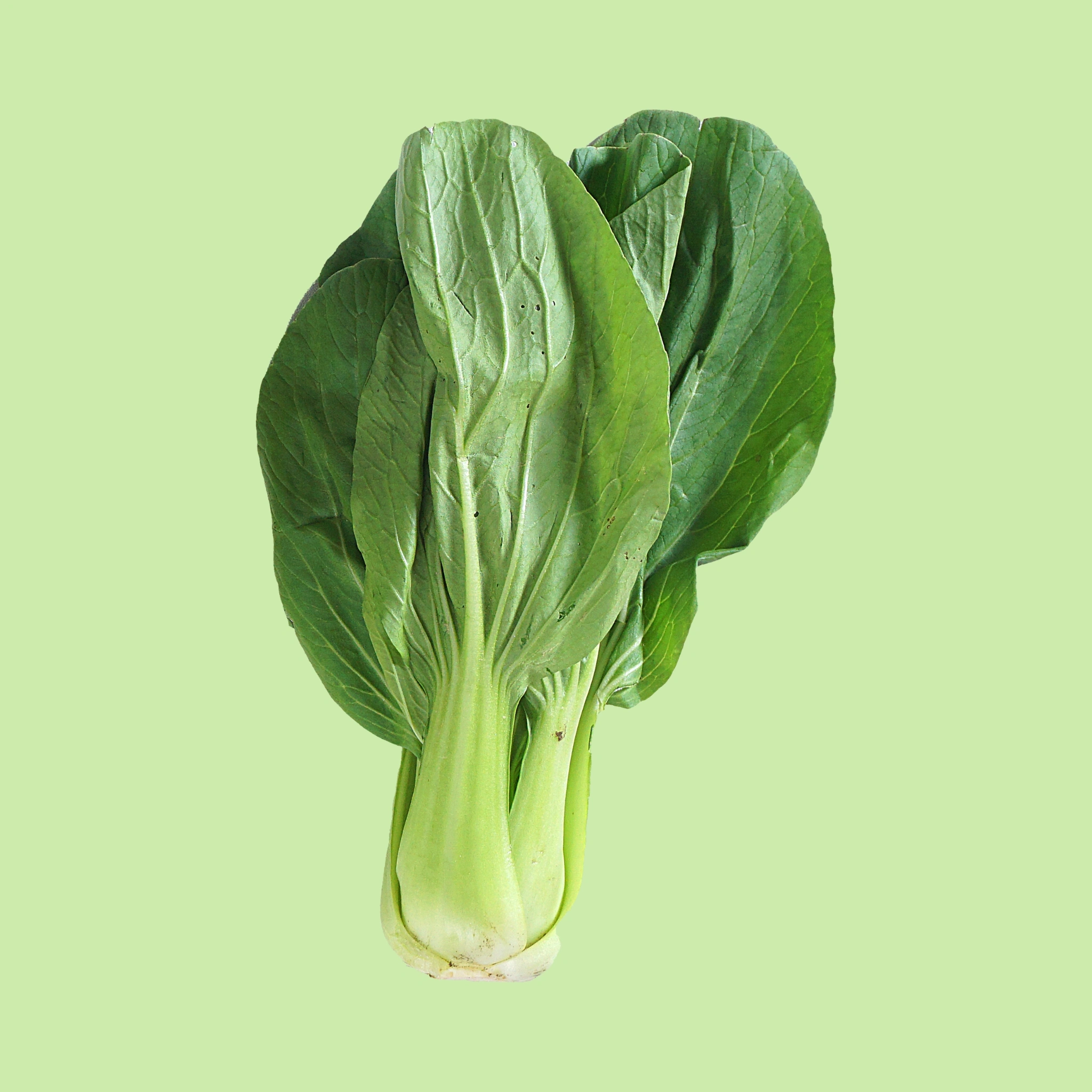 Mustard Greens - 200g
