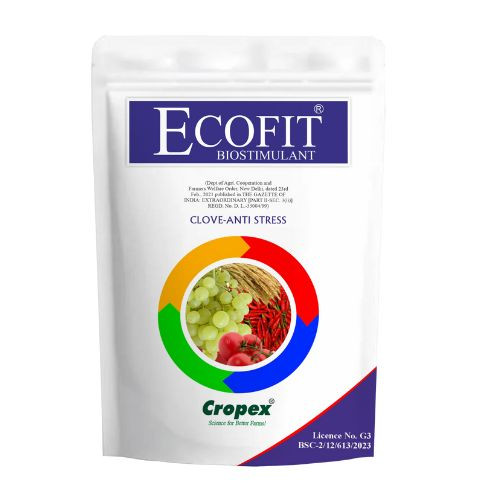 BP1 - Ecofit - 1Kg BP1 - Ecofit - 1Kg