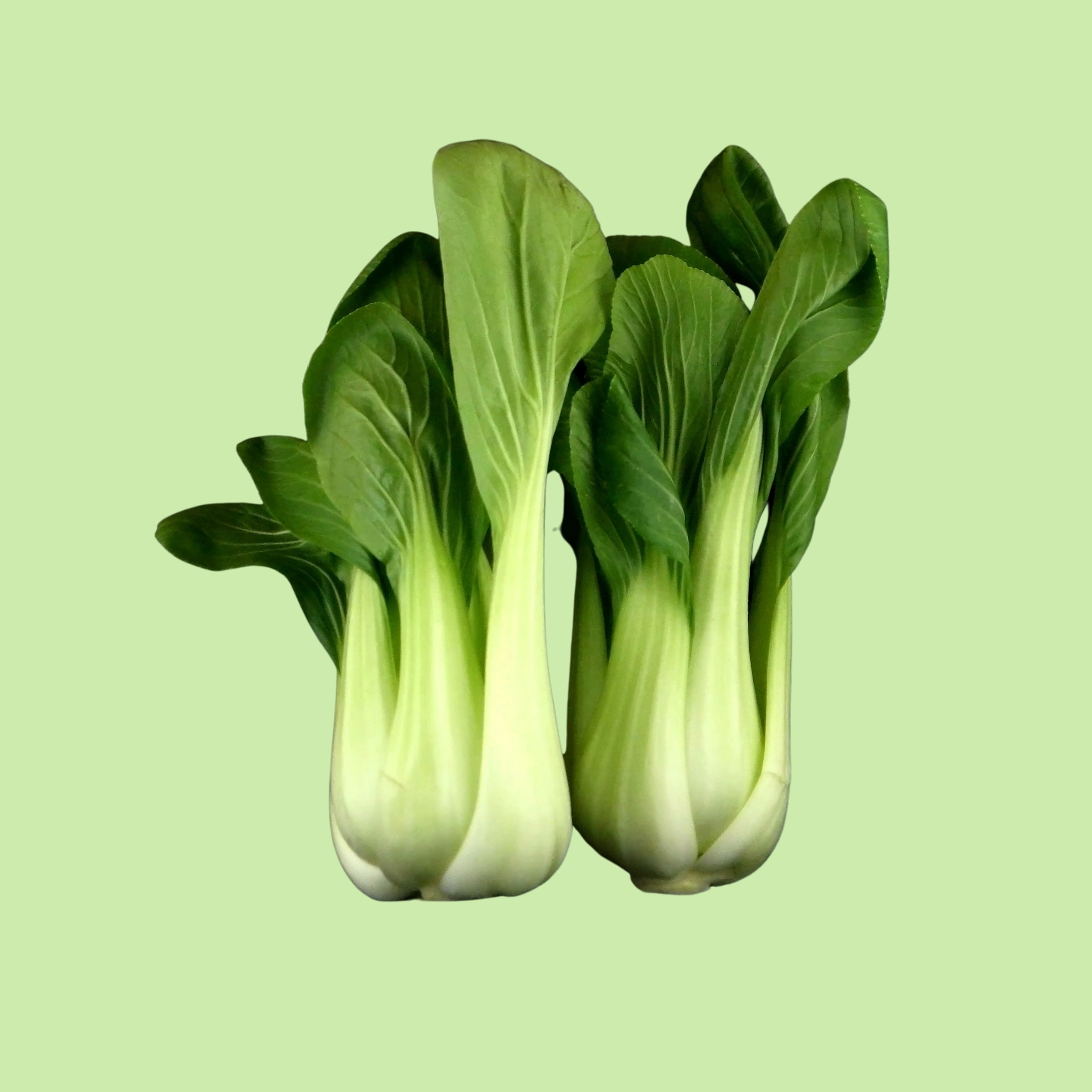 Pak Choi White Stemmed - 200g