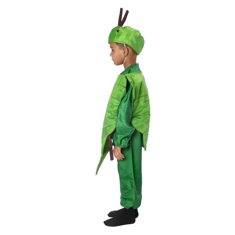 Palak Fancy Dress Costume