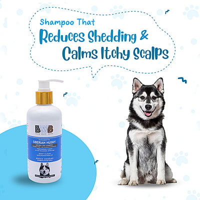 BWB SIBERIAN HUSKY SHAMPOO