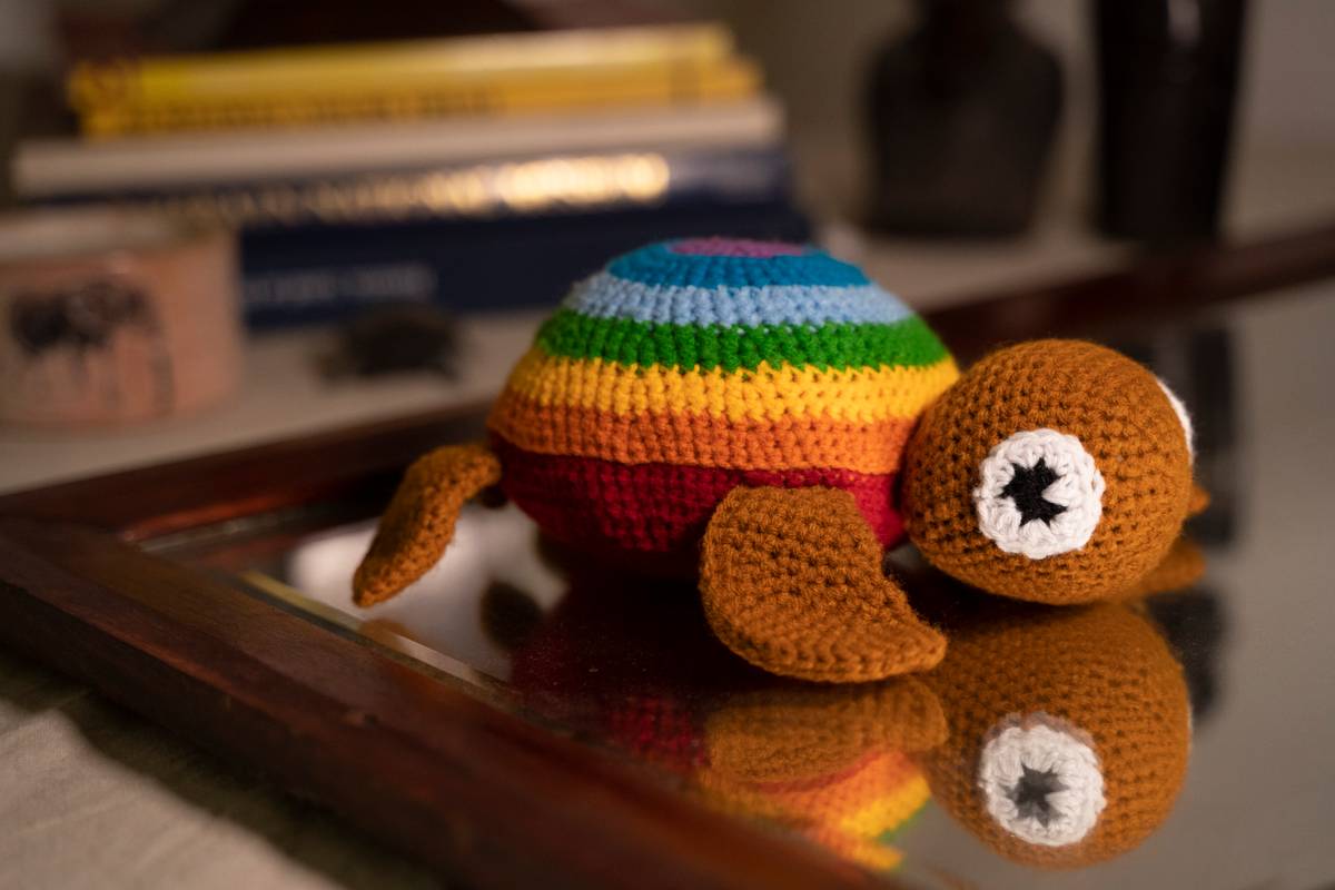 Rainbow Turtle