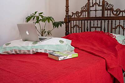 Vibrant in Red Bed Cover