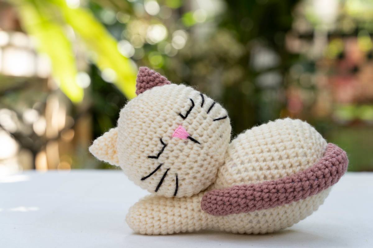 Sleepy Kitten Sleepy Kitten