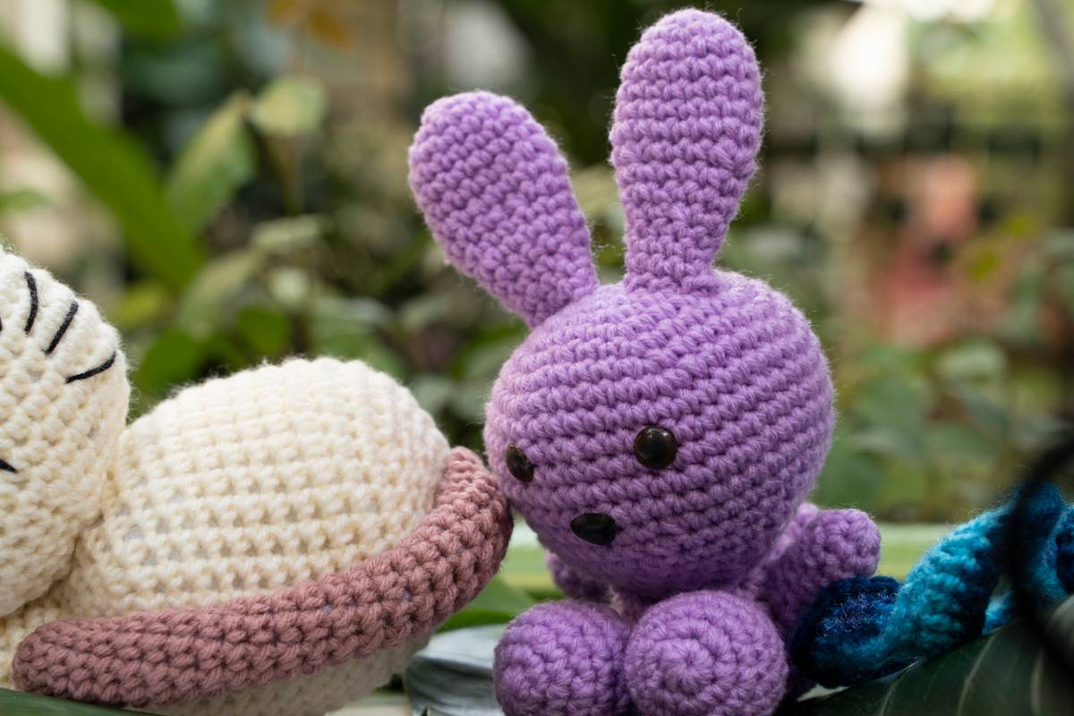 Bunny Rabbit