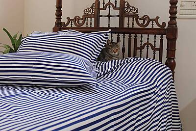 Stripes and Style Bed Cover Stripes and Style Bed Cover