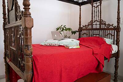 Vibrant in Red Bed Cover Vibrant in Red Bed Cover