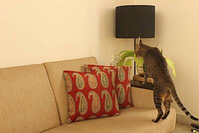 Red Paisley Cushion Cover