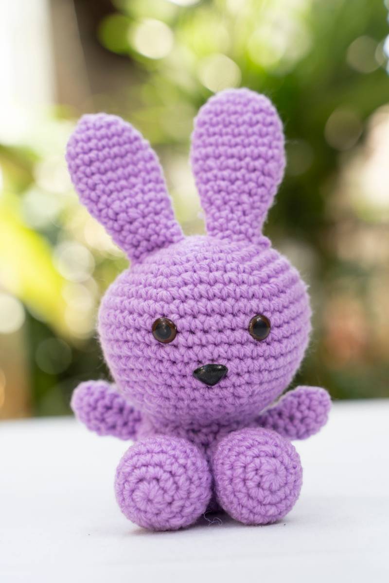 Bunny Rabbit Bunny Rabbit