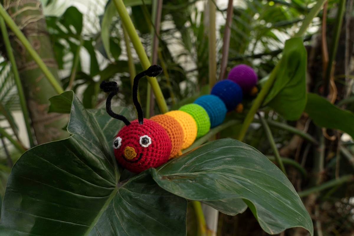 Hungry Caterpillar