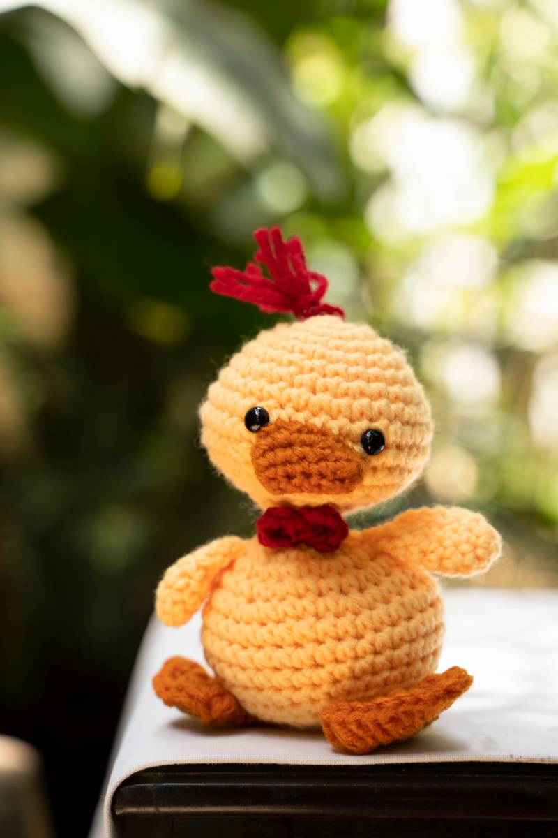 Duckling Duckling