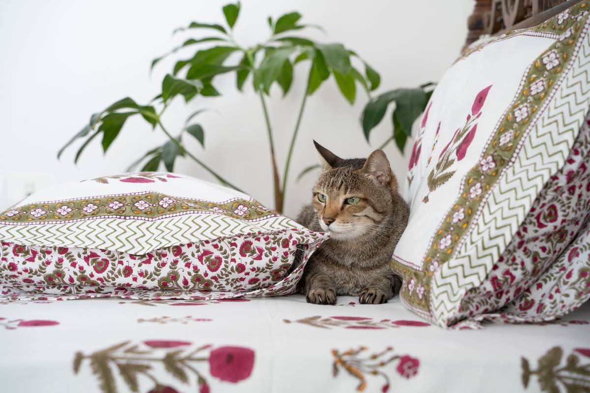 A Scarlet Story - Bedsheet A Scarlet Story - Bedsheet