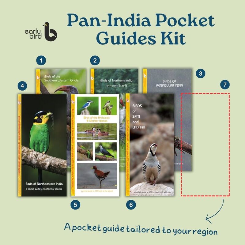 Pan-India Pocket Guides Kit