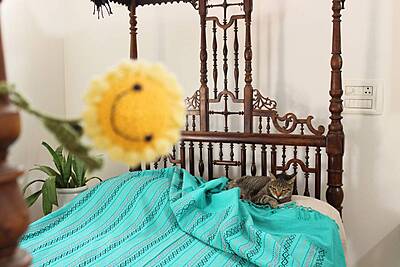 Brilliance in Blue Bed Cover