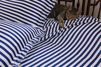 Stripes and Style Bed Cover