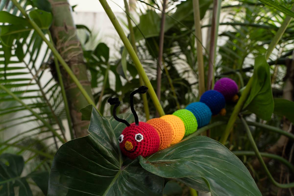 Hungry Caterpillar Hungry Caterpillar