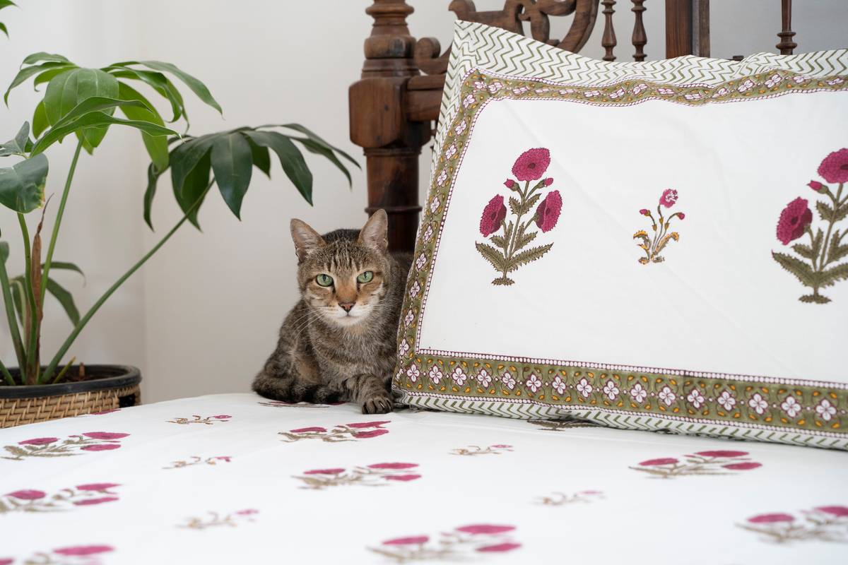 A Scarlet Story - Bedsheet A Scarlet Story - Bedsheet