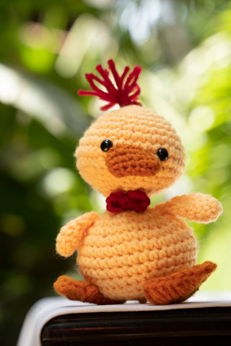 Duckling Duckling