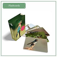 Early Bird Gift Pack Early Bird Gift Pack