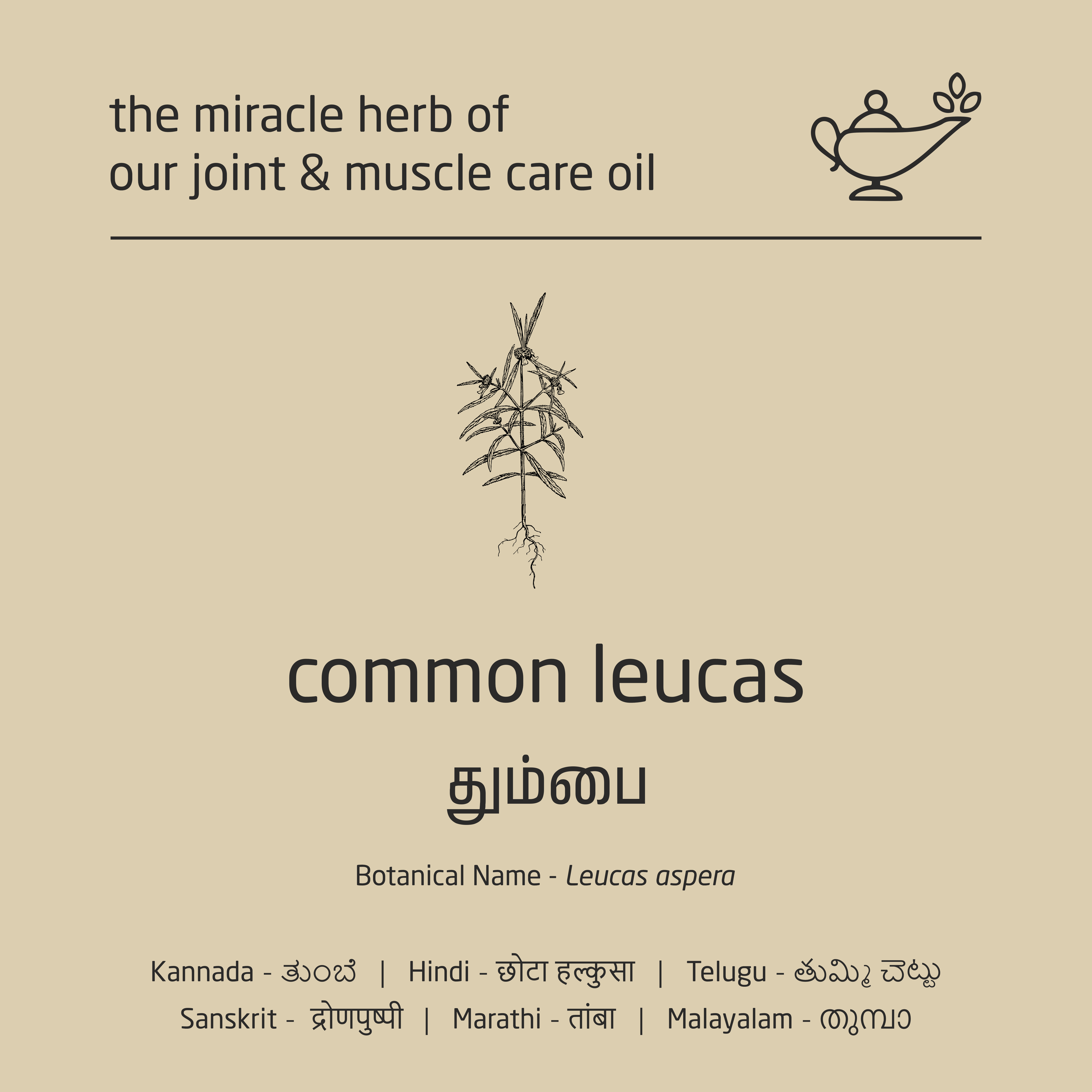 Premium Herbal Cold-Infused Joint & Muscle Care Oil - 100ml Premium Herbal Cold-Infused Joint & Muscle Care Oil - 100ml