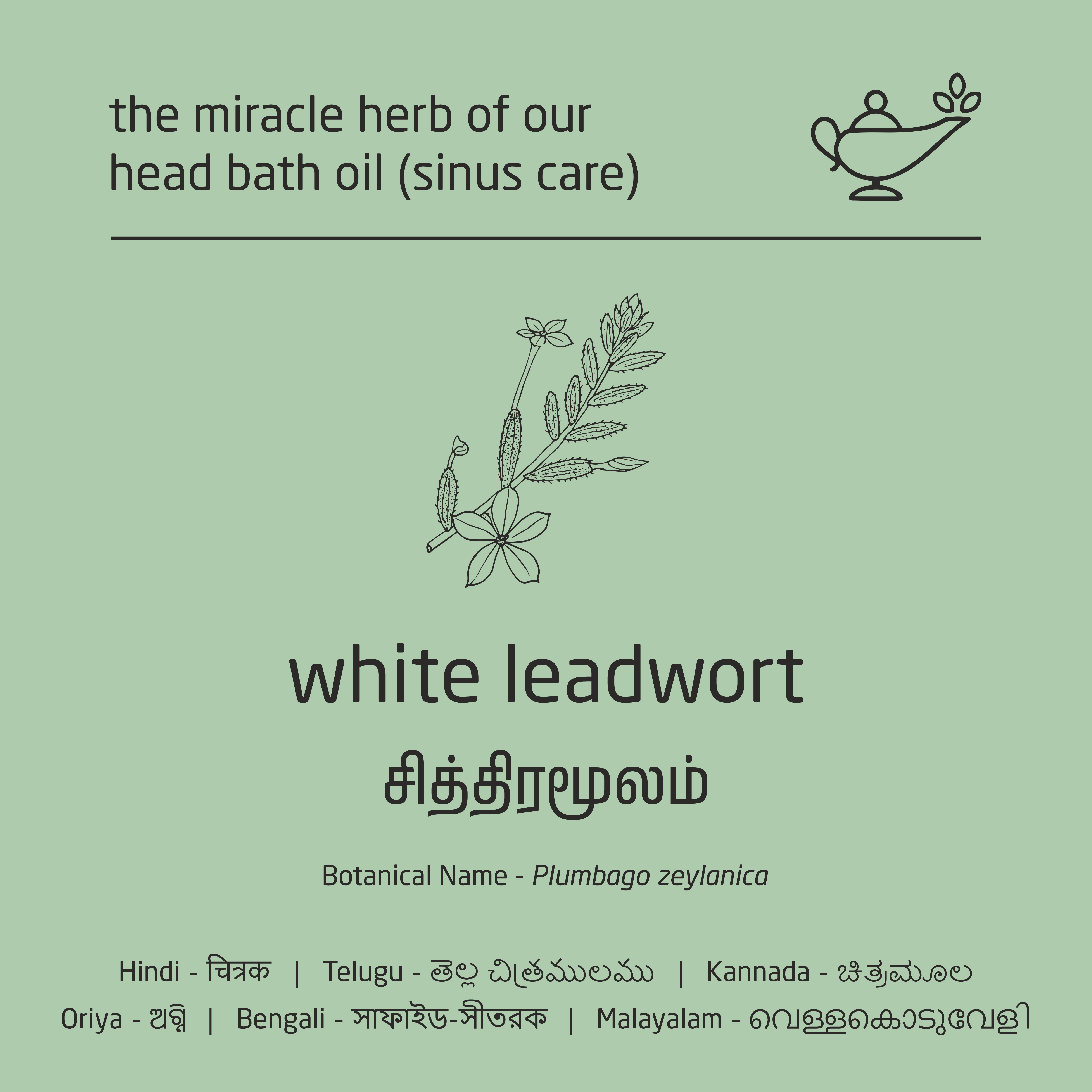 Premium Herbal Cold-Infused Head Bath Oil (Sinus Care) - 100ml Premium Herbal Cold-Infused Head Bath Oil (Sinus Care) - 100ml