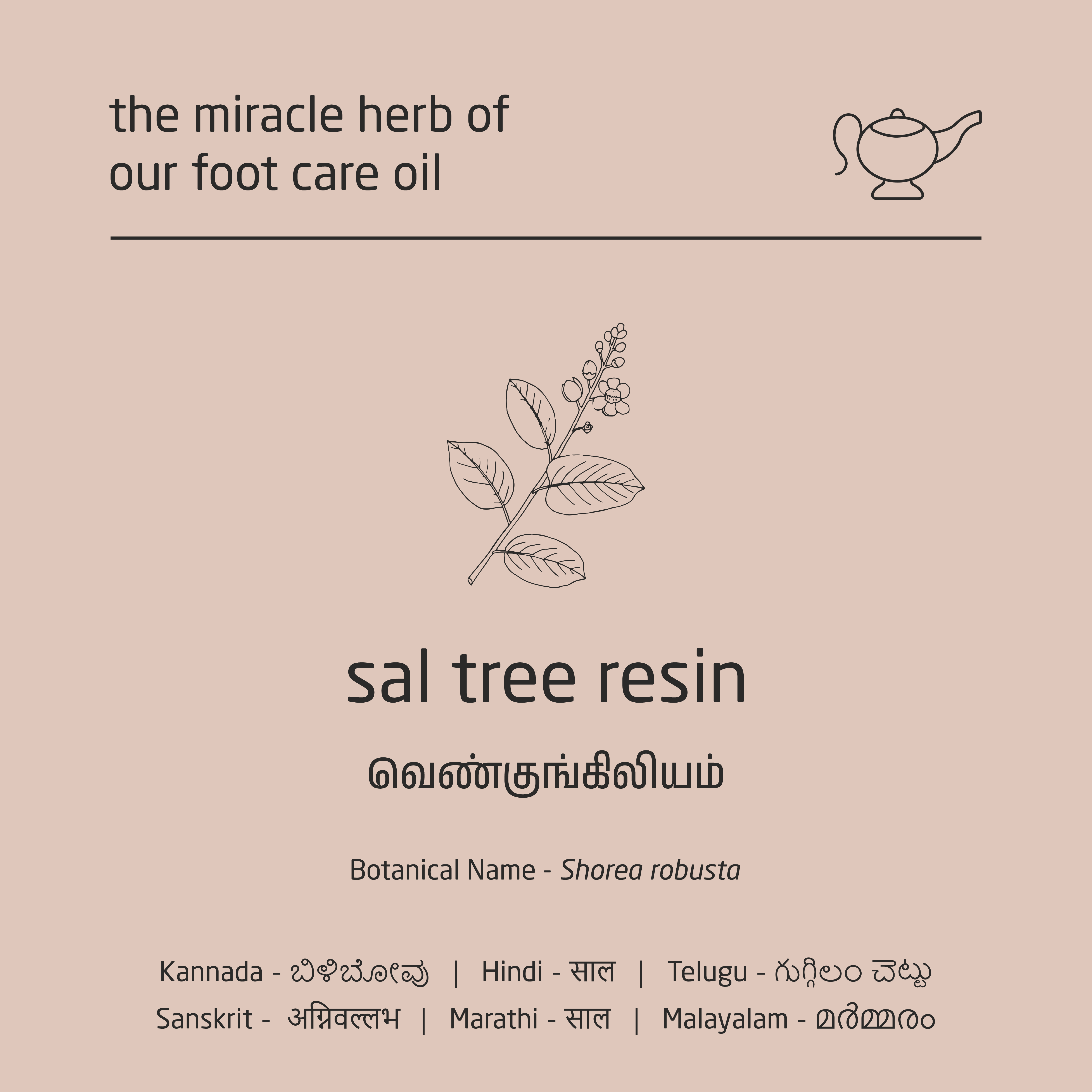 Premium Herbal Cold-Infused Foot Care Oil - 100ml Premium Herbal Cold-Infused Foot Care Oil - 100ml