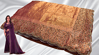 Galaxy Space Stone Fancy Saree - Golden Peach