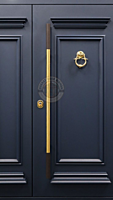 Elegant HDHMR Moulded Door with PU Paint Finish Elegant HDHMR Moulded Door with PU Paint Finish