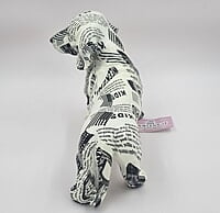 Black & White Dog