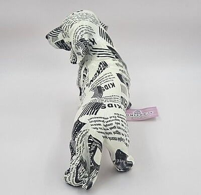 Black & White Dog
