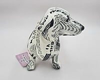 Black & White Dog