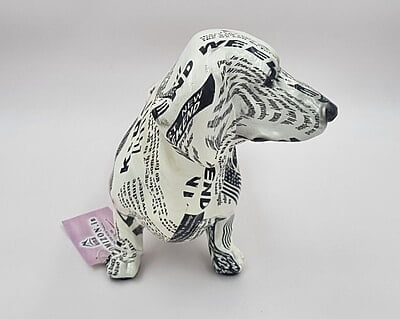 Black & White Dog