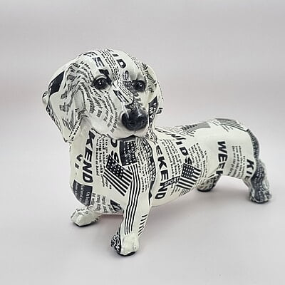Black & White Dog