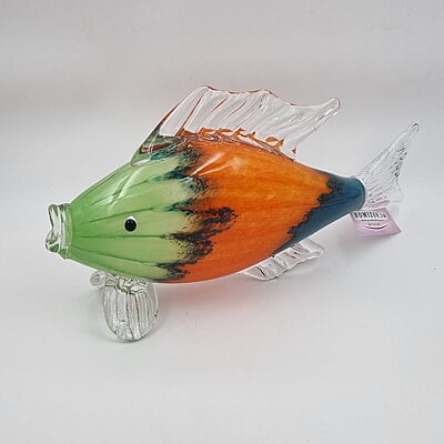 Fish Colourful