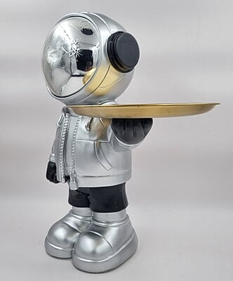 Serving Astronaught