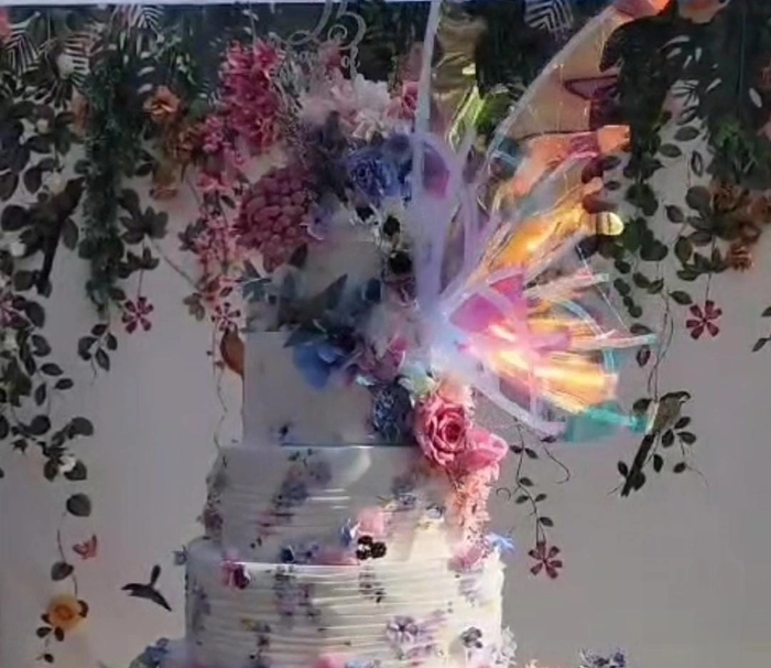 Kinetic Butterfly Kinetic Butterfly