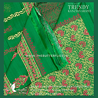 HAND PAINTED PURE KANCHIVARAM SOFT SILK SAREE  CUSSSIL23503
