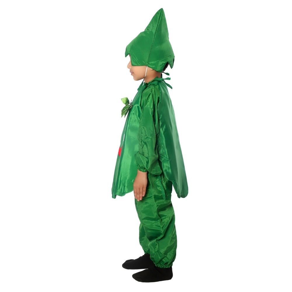 Capsicum Fancy Dress Costume