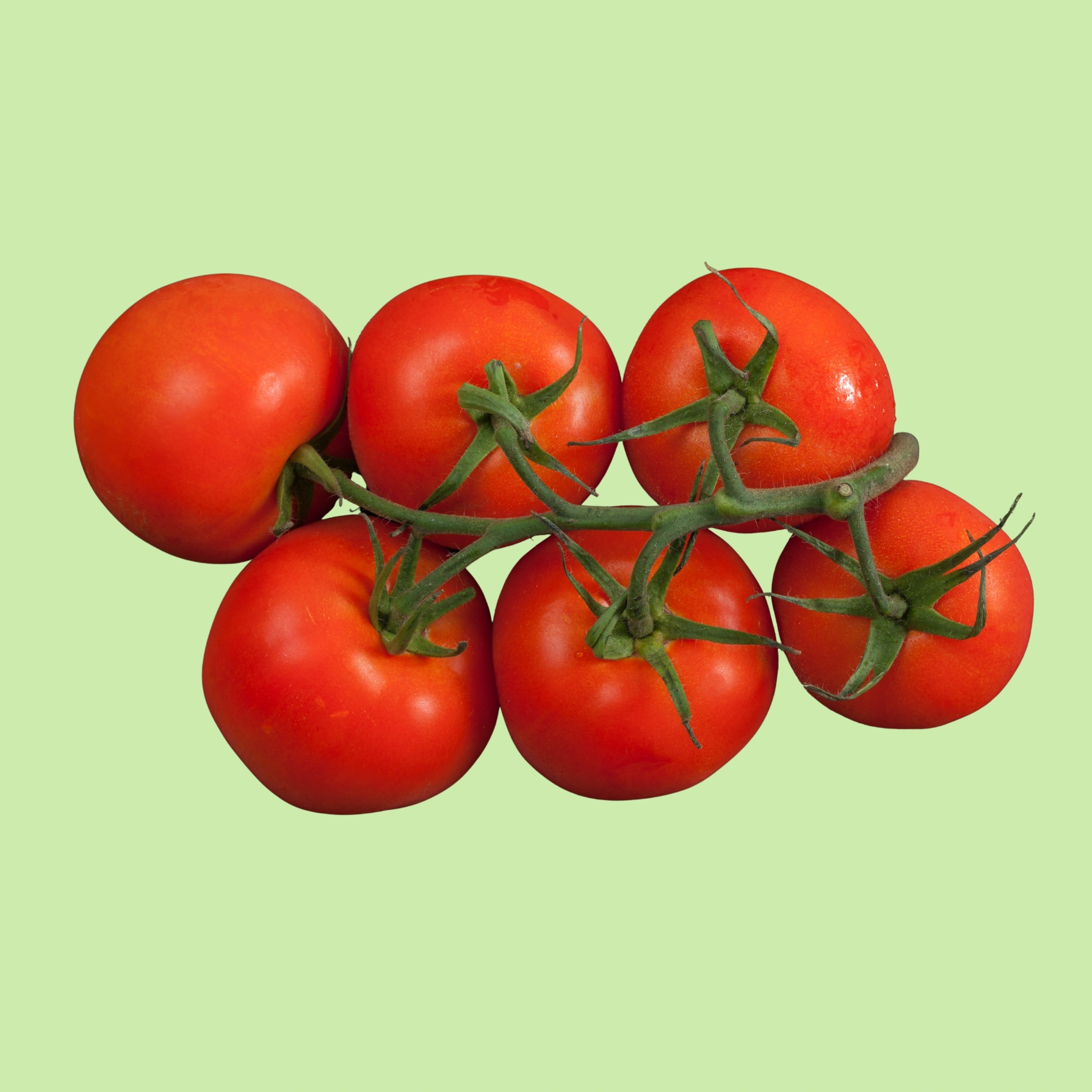 Tomato Hybrid. - 500g