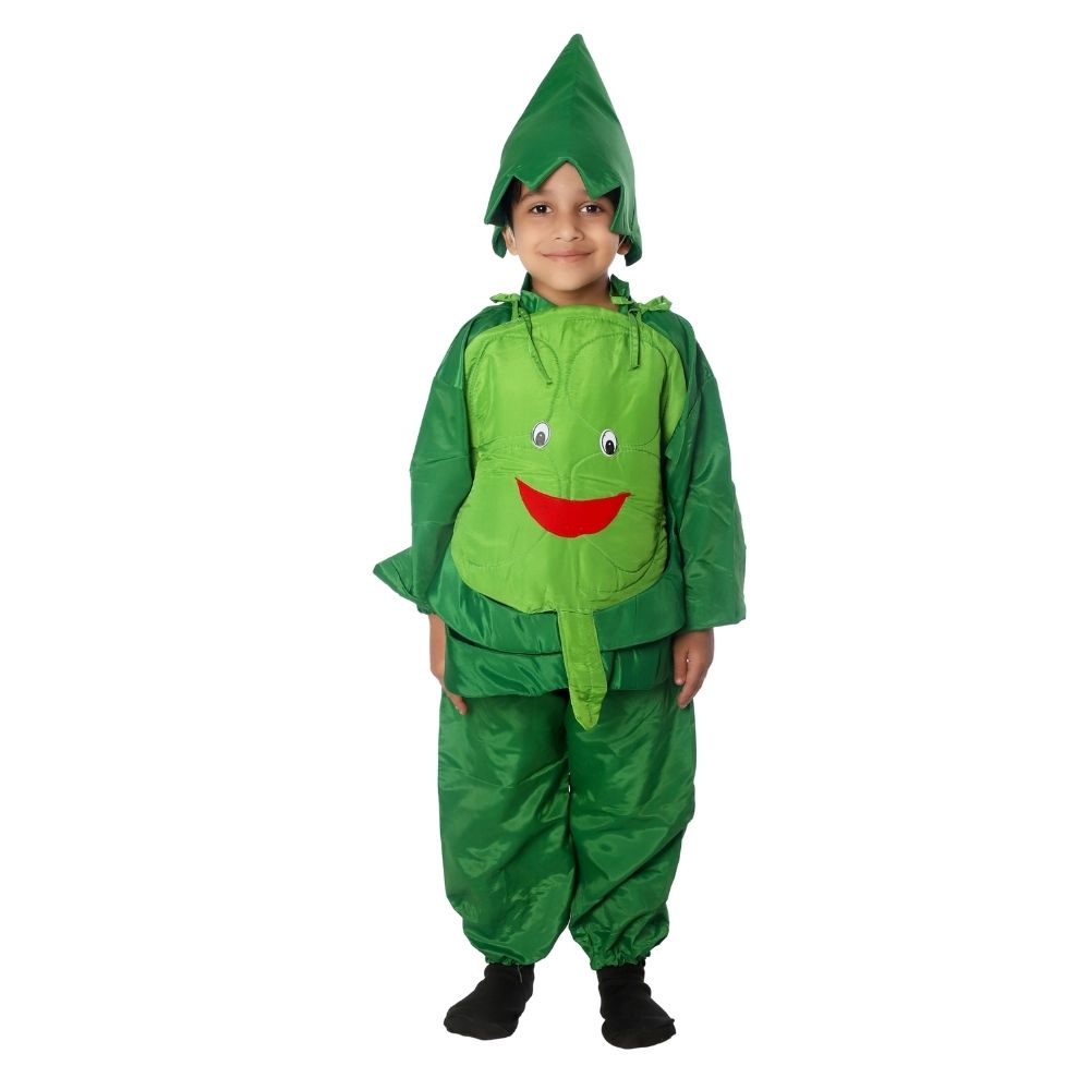 Cabbage Fancy Dress Costume Cabbage Fancy Dress Costume