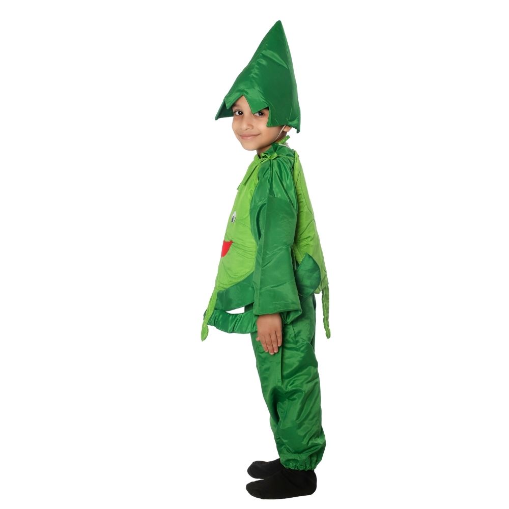 Cabbage Fancy Dress Costume Cabbage Fancy Dress Costume