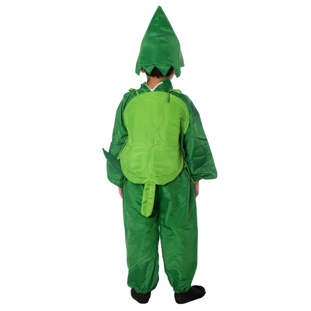 Cabbage Fancy Dress Costume Cabbage Fancy Dress Costume