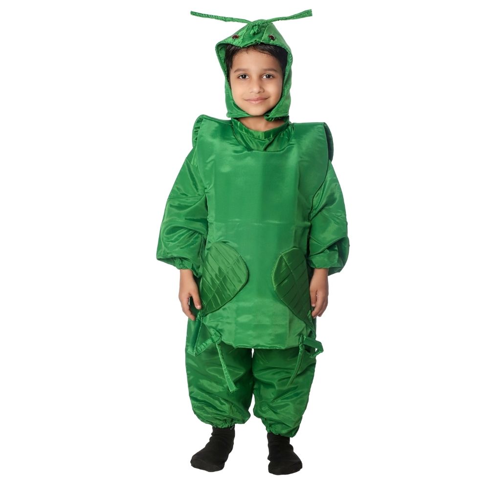 Grasshopper Fancy Dress Costume Grasshopper Fancy Dress Costume