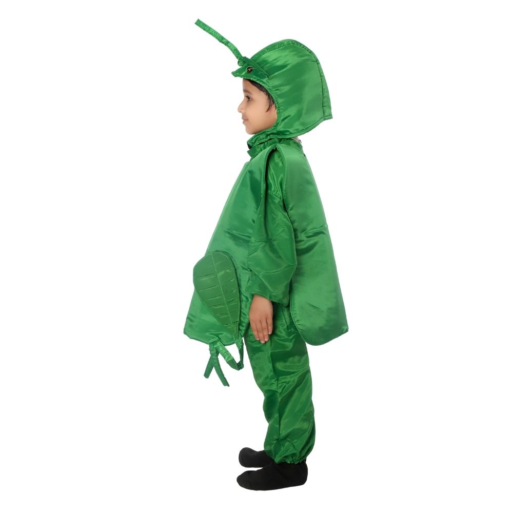 Grasshopper Fancy Dress Costume Grasshopper Fancy Dress Costume