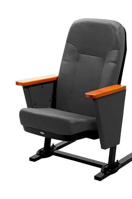 AUDITORIUM Seating WIPRO concert