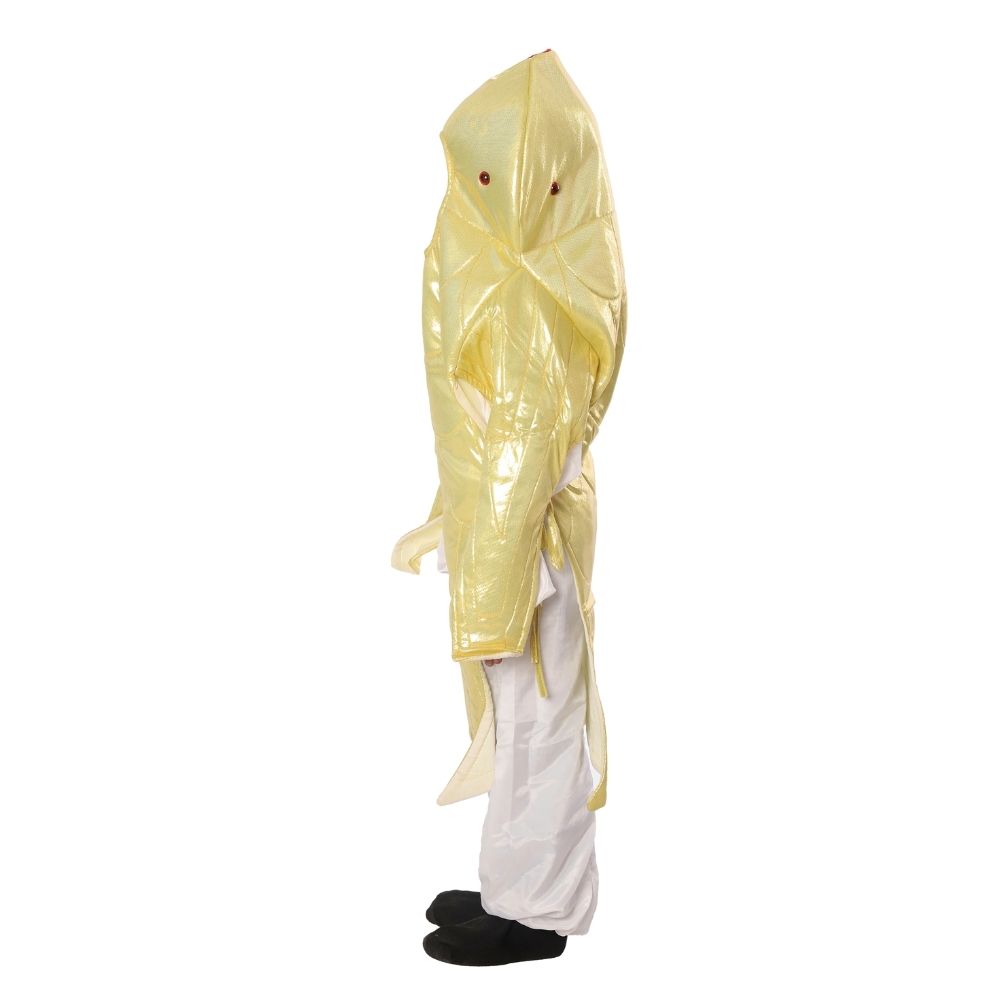 Golden Fish Fancy Dress Costume