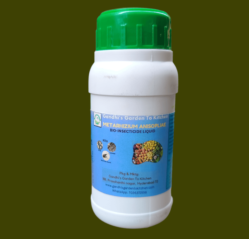 250ml Metarhizium Anisopliae Liquid Bio Insecticide 250ml Metarhizium Anisopliae Liquid Bio Insecticide