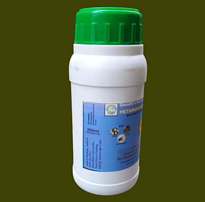 250ml Metarhizium Anisopliae Liquid Bio Insecticide 250ml Metarhizium Anisopliae Liquid Bio Insecticide