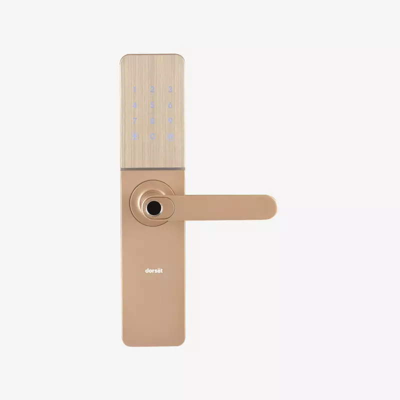 Digital Lock DG 102 MCM