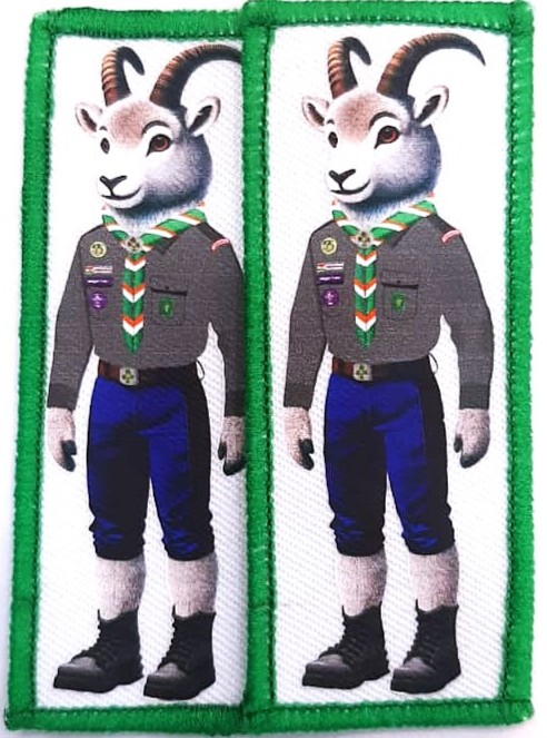 Diamond Jubilee Mascot Printed Diamond Jubilee Mascot Printed